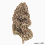 Flower | 'Diesel' | CBD