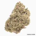 Flower | 'Silver Harmony' | CBD